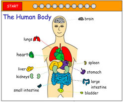 Biology Body Parts