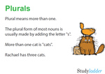 plurals  
