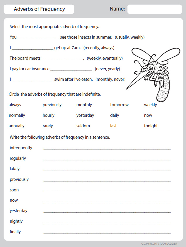 Adverbs Of Degree And Frequency Worksheets