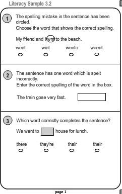Sample 2 - Spelling and Language