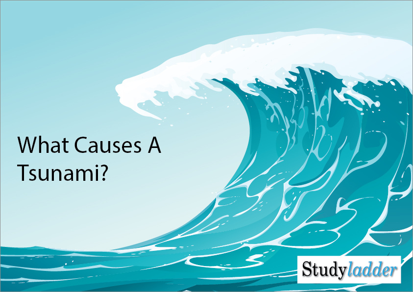 essay about tsunami causes