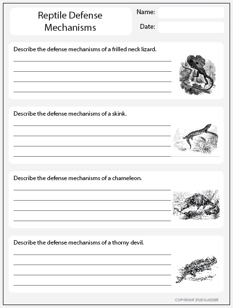 reptile-defense-mechanisms-worksheet-1-studyladder-interactive