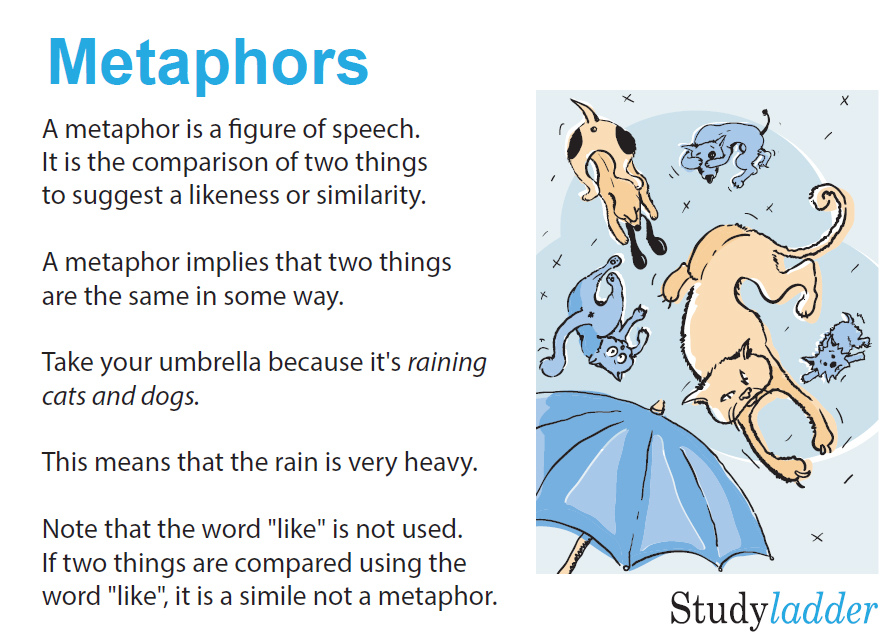 metaphors-studyladder-interactive-learning-games
