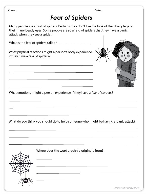 my fear of spiders essay